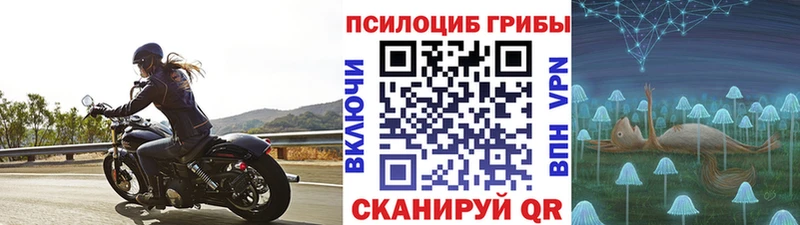 Псилоцибиновые грибы ЛСД Гдов