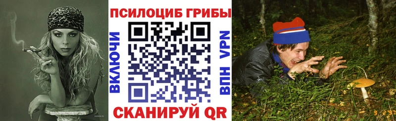 Галлюциногенные грибы ЛСД  Гдов 